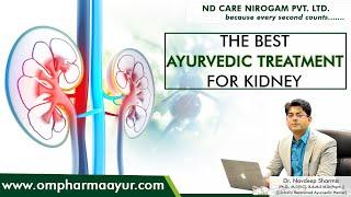 The Best Ayurvedic treatment for Kidney