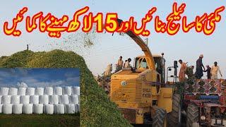 corn silage making Profitable business ideas 2022II