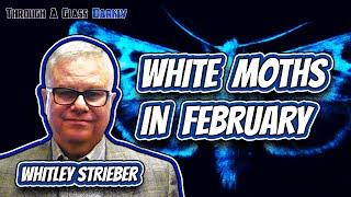 Life and Death Beyond the Streams of Time with Whitley Strieber (Episode 147)