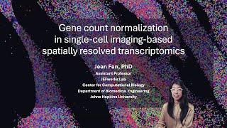 Gene count normalization in single-cell imaging-based spatially resolved transcriptomics