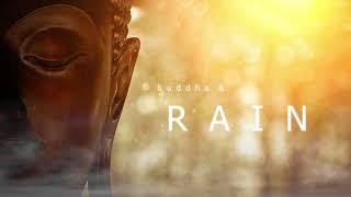 Buddha & Rain | Meditation Healing and Studying Music | Calm in the rain