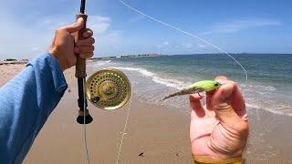 BIG Fish Eats This Little Fly From The Florida Surf - Biggest I've Ever Caught On The Fly!!!