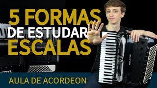 COMO estudar as ESCALAS | Aula de Acordeon