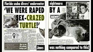 Jimmy Buffett Buck Butt the Turtle