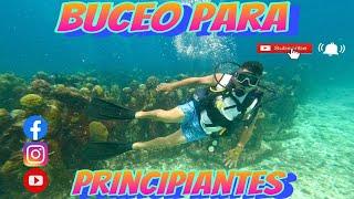 CANCÚN | BUCEO   PARA PRINCIPIANTES  | PRECIOS  | By SEBISTASTRIP.