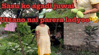 Sasu ko agadi juwai uttano nai parera ladyoo#dailyvlog #mayagurung9799