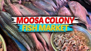 Oldest Fish Market in Karachi | Moosa Colony Fish Market | Rehman Vlogs