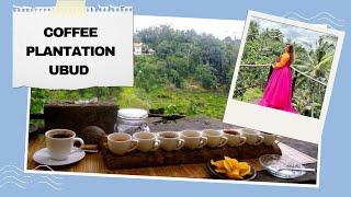 WORLD’S BEST COFFEE? Ubud | Bali Coffee culture| Ubud coffee plantation tour