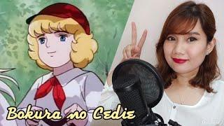 Little Prince Cedie 小公子セディ OP " Bokura no Cedie " (ぼくらのセディ) Cover by Ann