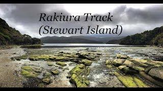 Hiking the Breathtaking Rakiura Track (Stewart Island)