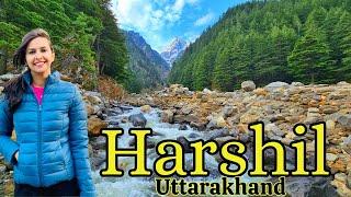 Most Beautiful Valley of Uttarakhand I Harshil Valley I Gartang Gali I Nelong Valley 2024 I