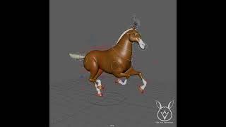 Animation Reference - Horse Run