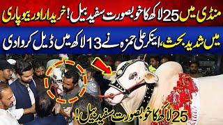 25 Lakh Ka Khubsurat Safeid Bail | Anchor Ali Hamza Ney 13 Lakh Ma Deal Karwa Di | Lahore Puchta Hai