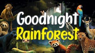 Goodnight Rainforest | Relaxing Rain Sounds | Bedtime Story for Babies and Toddlers 