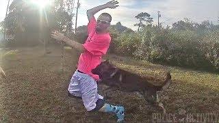 Bodycam Shows Officer Deploy K9 Shep On Fleeing Suspect