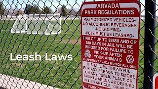 Leash Laws