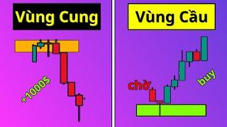 Bạn sẽ trở thành nhà giao dịch có lãi khi chọn đúng Vùng Cung và  Cầu trong thị trường bởi video này