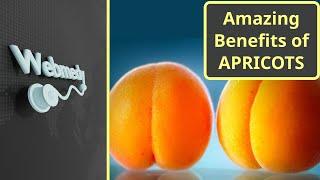 Surprising Health Benefits of Apricots