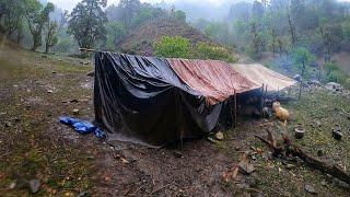 Naturally Peaceful And Beautiful Himalayan Mountain Village Life in Rainy Season |Rural Life Nepal