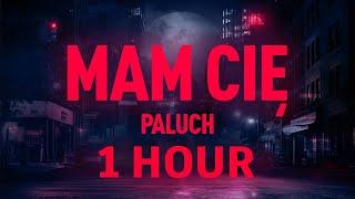 PALUCH  - MAM CIĘ [1 HOUR]