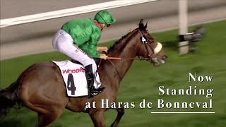 ZARAK retires to stud