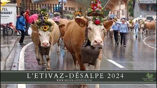 L'Etivaz-Désalpe 2024 - Alpabzug Etivaz - reisen-lifestyle.ch