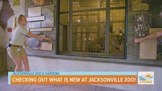 Checking out what is new at Jacksonville Zoo & Gardens!