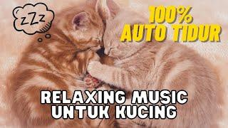 LAGU TIDUR KUCING - RELAXING MUSIK UNTUK KUCING | LULLABY FOR CAT | 100% AUTO TIDUR