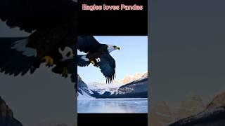 Eagles love Pandas #viralvideo #trending