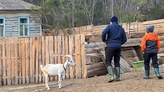 1 Typical Week In The Life Of A Family In A Remote Village In The Carpathian Mountains