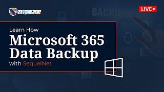 How does office 365 backup works?