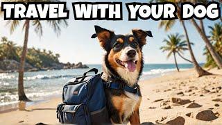 Visit the 10 BEST Dog Friendly Travel Destinations NOW