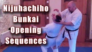 Practical Kata Bunkai: Nijuhachiho