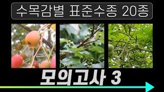 조경기능사 실기 수목감별 표준수종 20종 모의고사 3