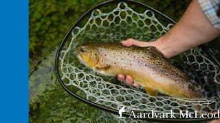 Fly Fishing the River Anton Chalkstream