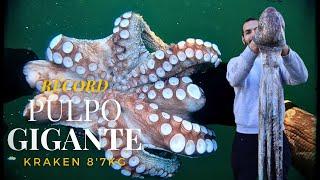 PULPO GIGANTE 8,7 KG Y PULPOS GRANDESPESCA SUBMARINA EN GALICIA