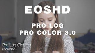 EOSHD Pro Log and Pro Color 3.0 test | Sony a6300 Sigma 30mm f1.4