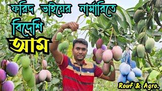 ফরিদ ভাইয়ের নার্সারিতে বিদেশি আম । বিদেশি মিষ্টি আমের জাত । Mango variety । ফরিদ এগ্রো  @RoufAgro