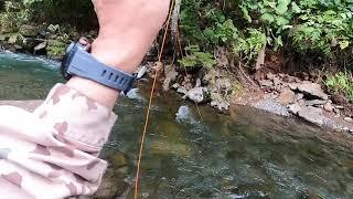 Bark River Bushcrafter in mountain stream fishing