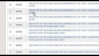 How to find economic data from the U S  Census