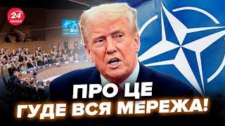Трамп ШОКУВАВ НАТО заявою! Іспанія НЕ СТАЛА ЦЕ ТЕРПІТИ, РІЗКА ВІДПОВІДЬ. ХОЛОДНИЙ ДУШ для усіх