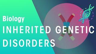 Inherited Genetic Disorders | Genetics | Biology | FuseSchool