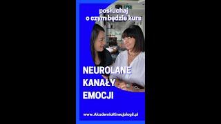 NEPS1 - Neuronalne Kanały Emocji