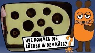 Wie kommen die Löcher in den Käse? - Sachgeschichten mit Armin Maiwald