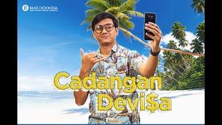 [Bank Indonesia 101]: Cadangan Devisa