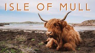 One Week on The Isle of Mull, Scotland - Top Things to See and Do