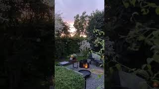 Abends im Garten #garten #garden #homeandgarden #meinschönergarten #gardening #mygarden