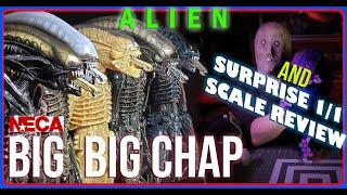 NECA 1/4 ALIEN COLLECTION, MCFARLANE, BIG CHAPS, XENOMORPH WARRIORS, AND MUCH MUCH MORE!