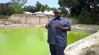 Concrete pond well built at TSH 7,000,000/= choose Amisodago Consultancy Firm