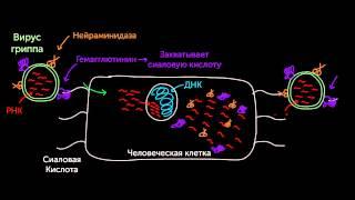 Когда грипп атакует!